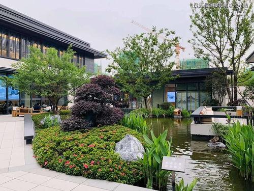 祁门新闻爆料热线官网,实时掌握祁门最新动态的桥梁